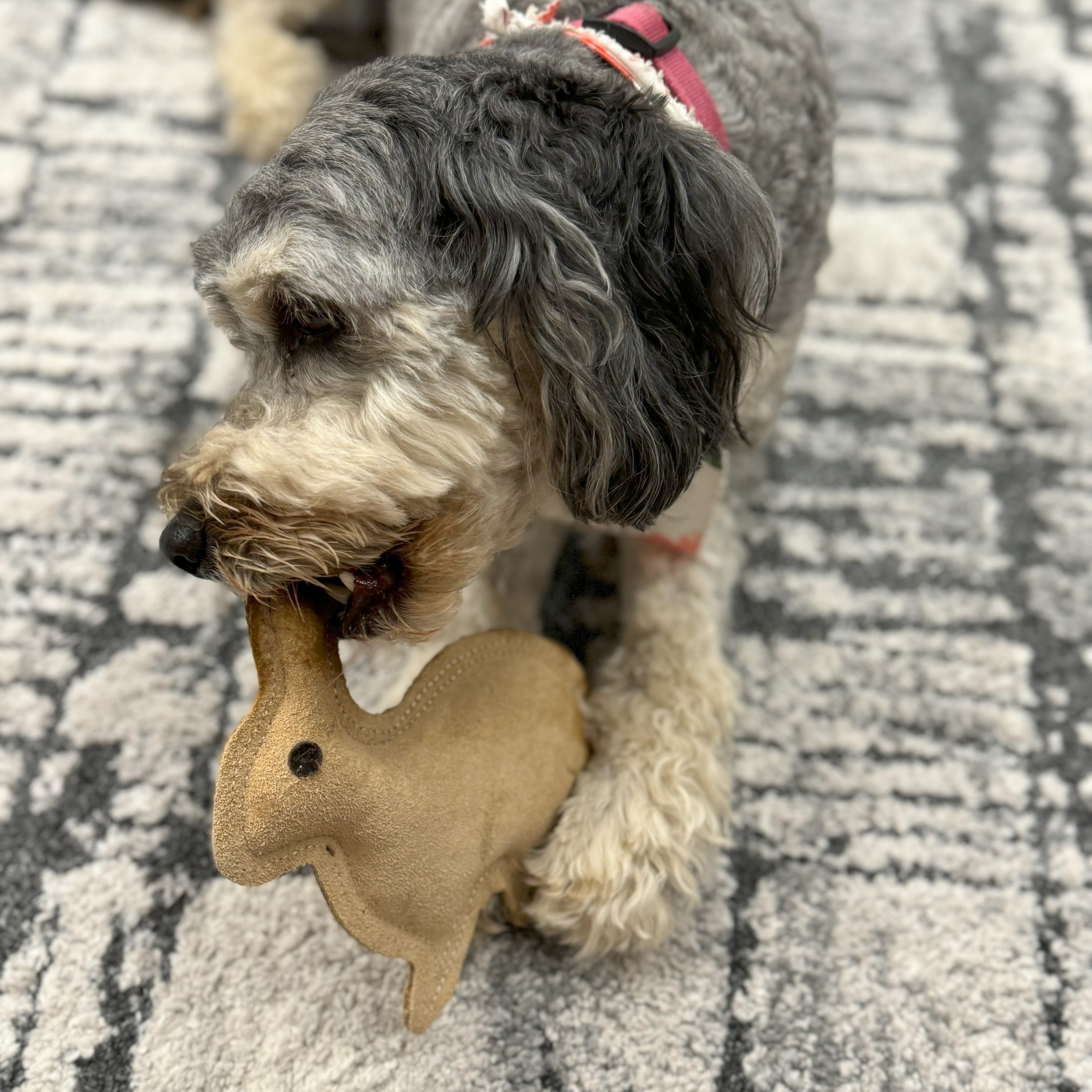 Dura-Fused Durable Leather Rabbit Dog Toy, Small