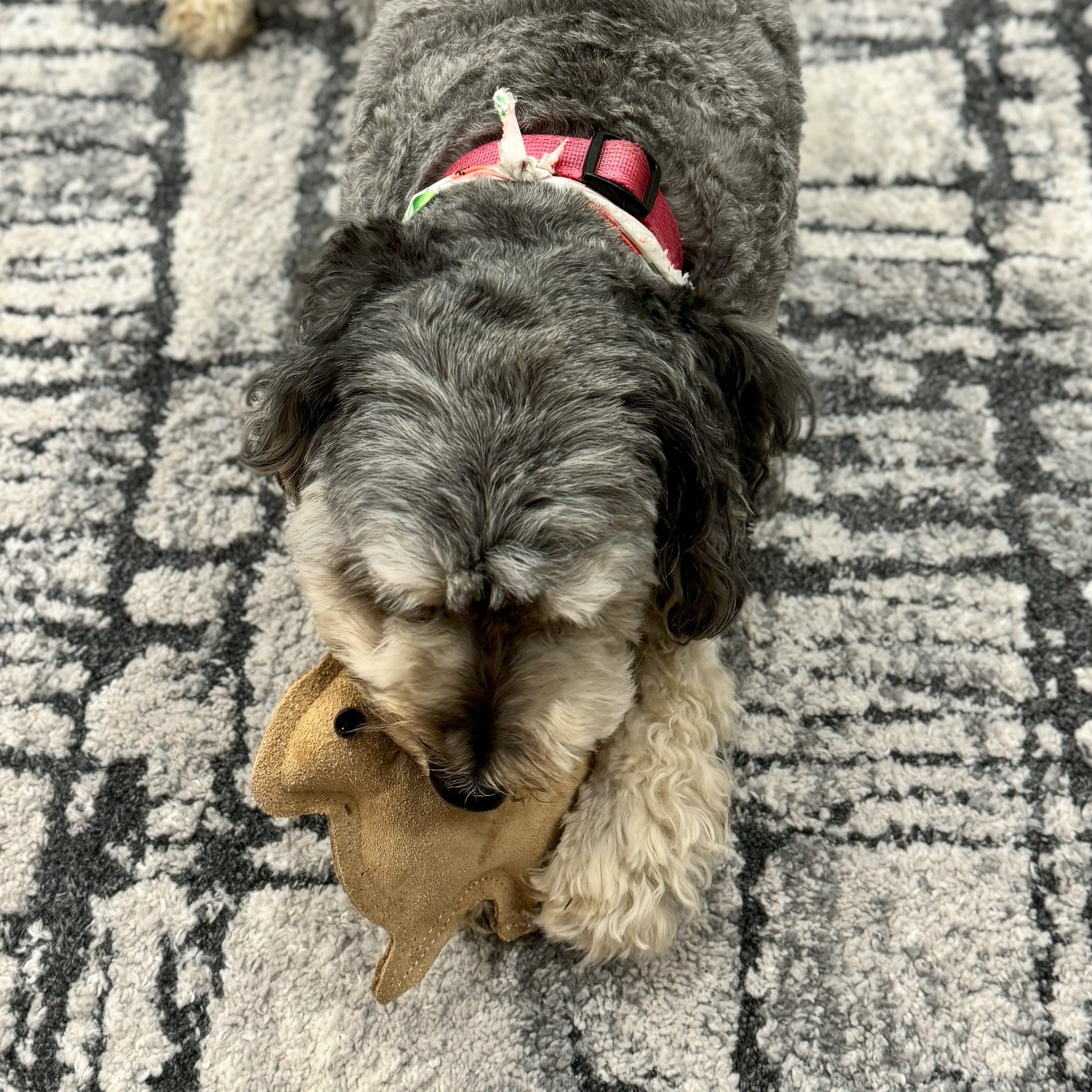 Dura-Fused Durable Leather Rabbit Dog Toy, Small