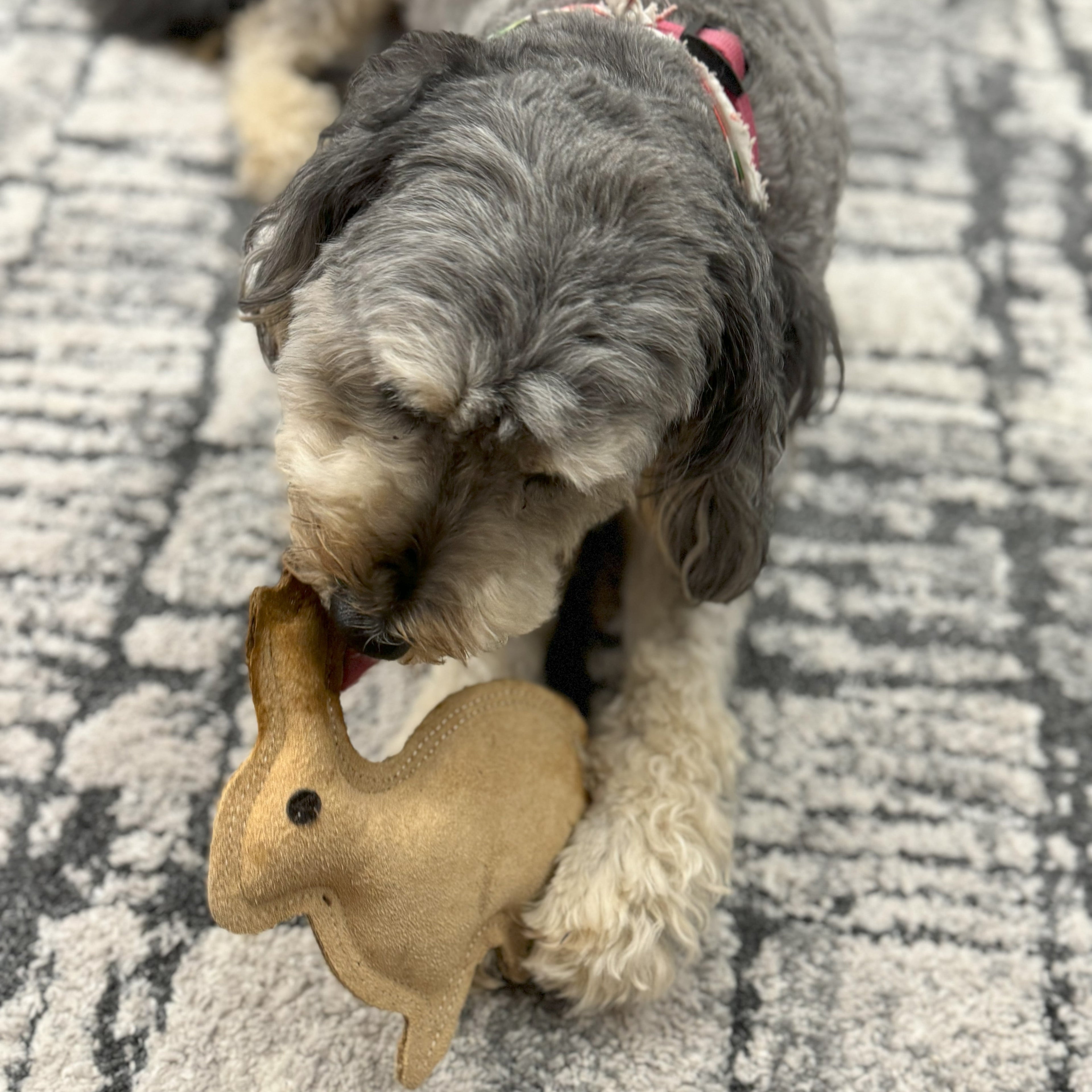 Dura-Fused Durable Leather Rabbit Dog Toy, Small