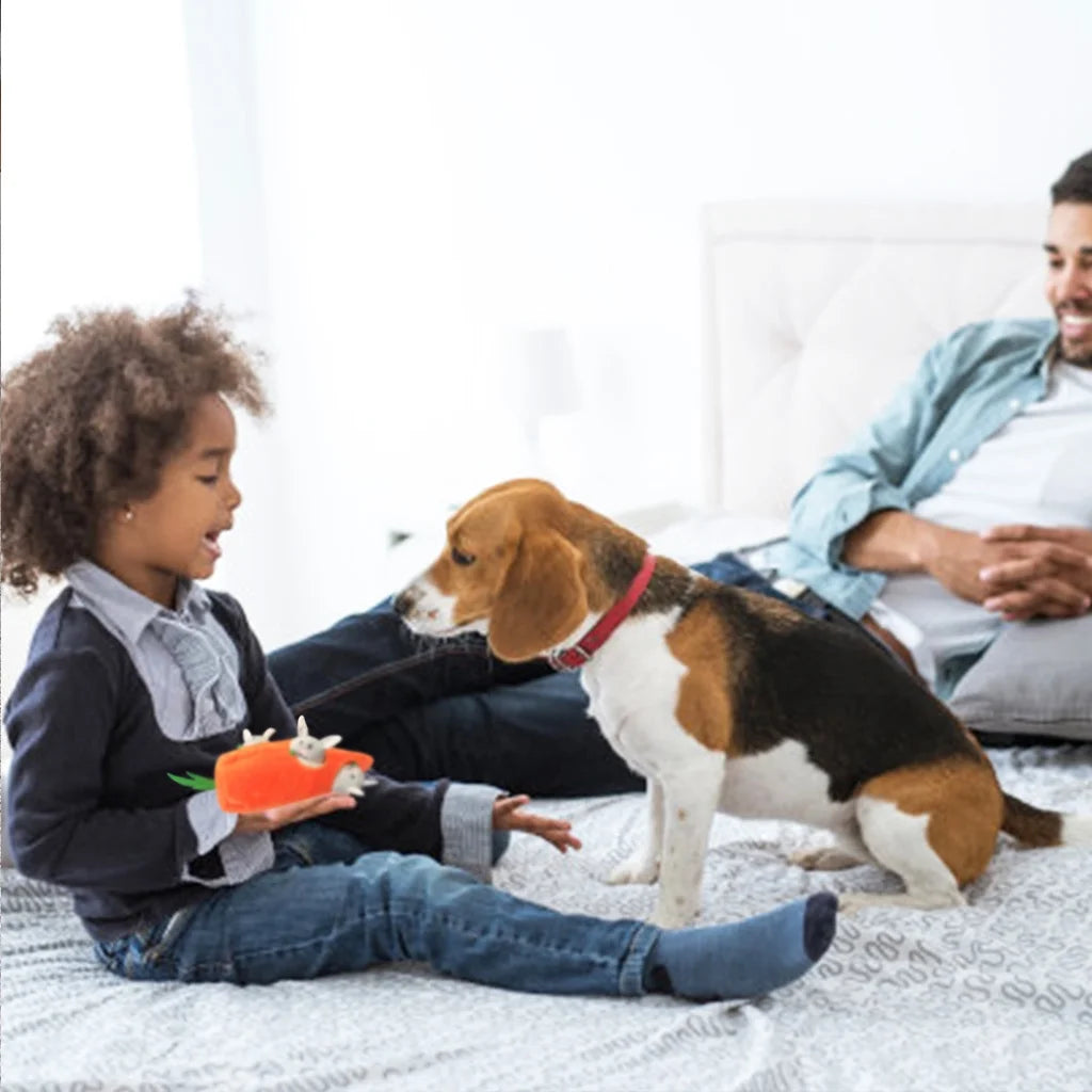Easter Interactive Dog Toys，Hide and Seek Dog Squeaky Toys and Puppy Toys Puzzles, Rabbit