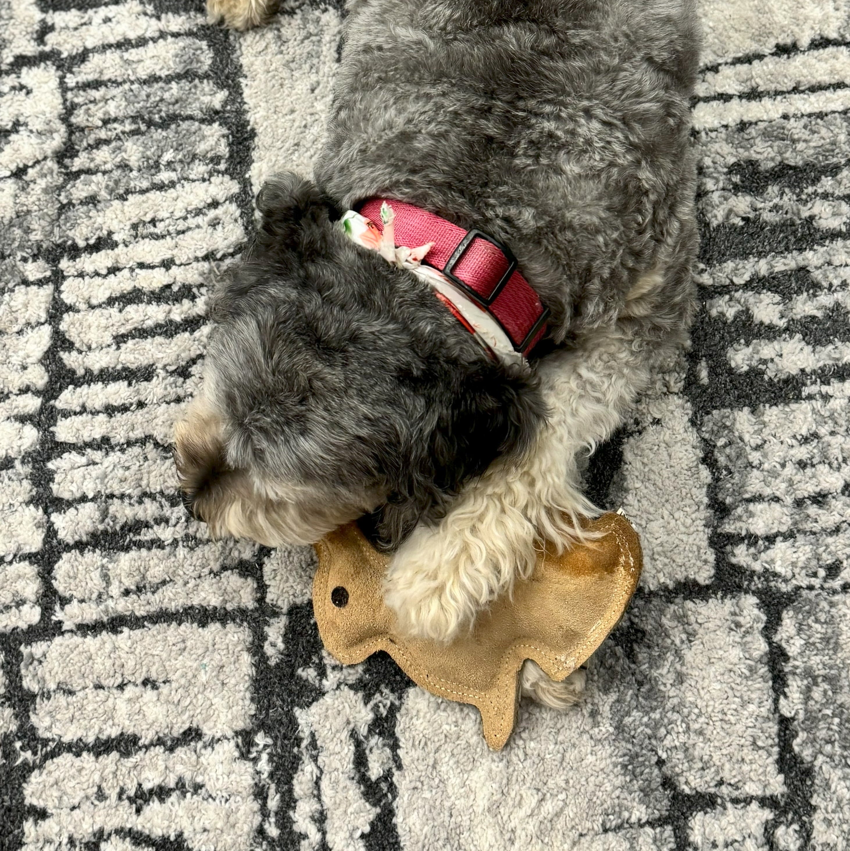 Dura-Fused Durable Leather Rabbit Dog Toy, Small